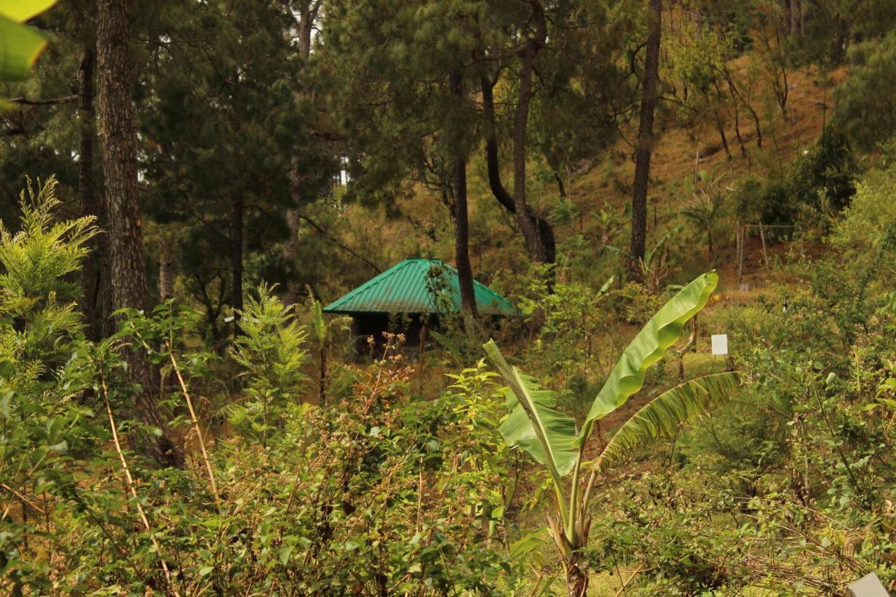 Heal Farm - Himalayan Eco Alternative Lifestyle For Agriculture Recreation And Meditation Nainital Exteriör bild
