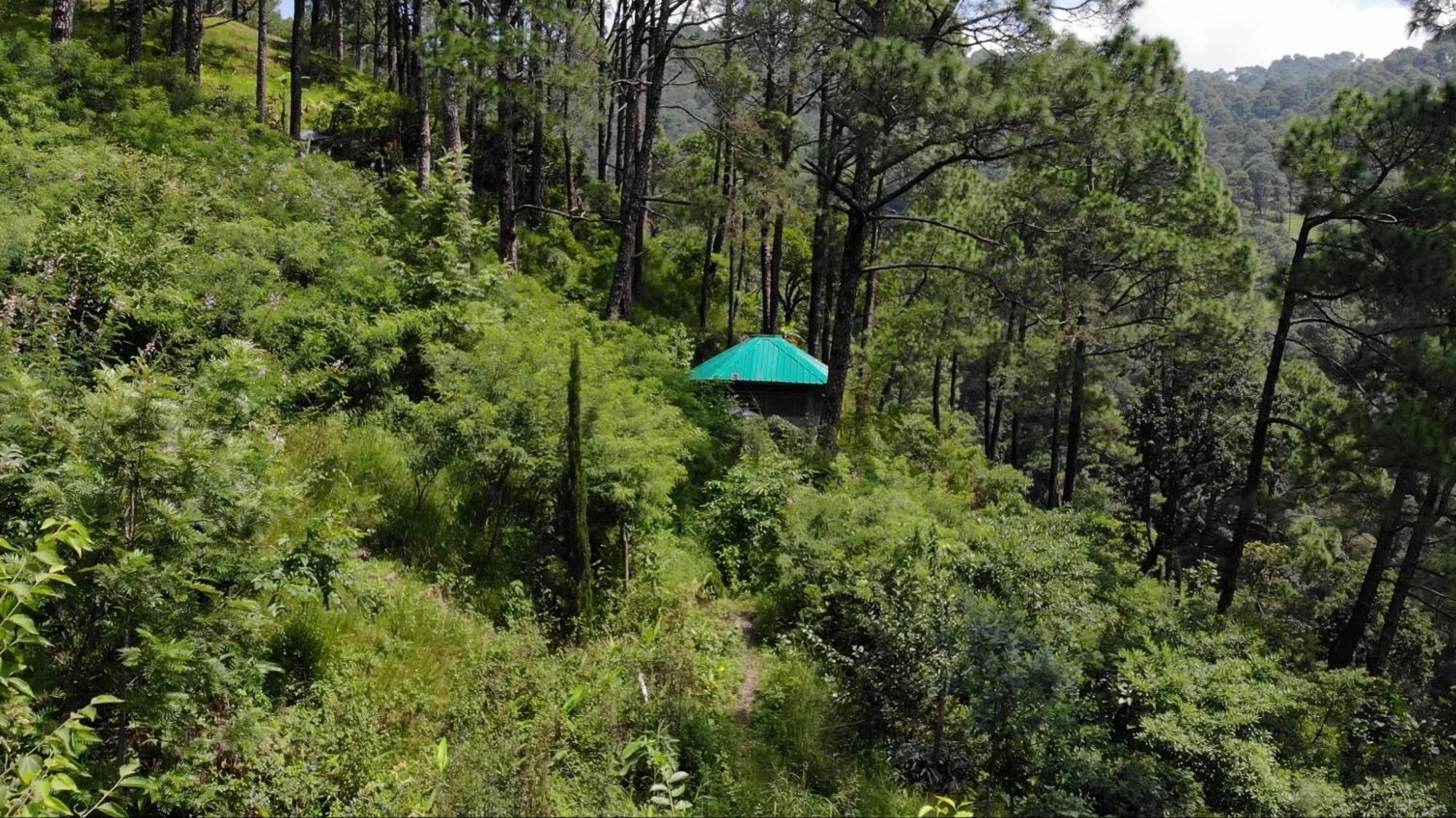 Heal Farm - Himalayan Eco Alternative Lifestyle For Agriculture Recreation And Meditation Nainital Exteriör bild